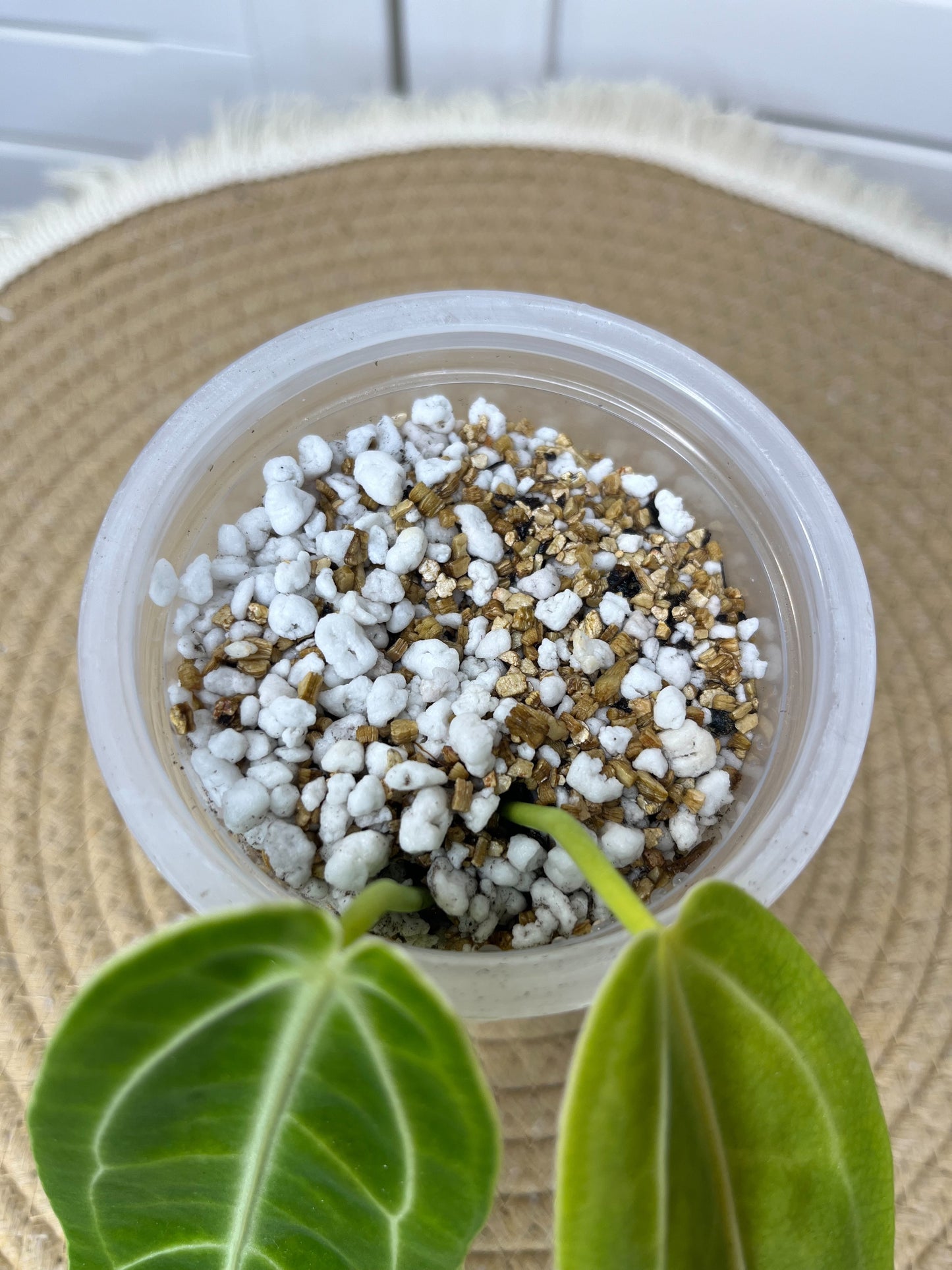 Bio Leaf Premium Starter Mix