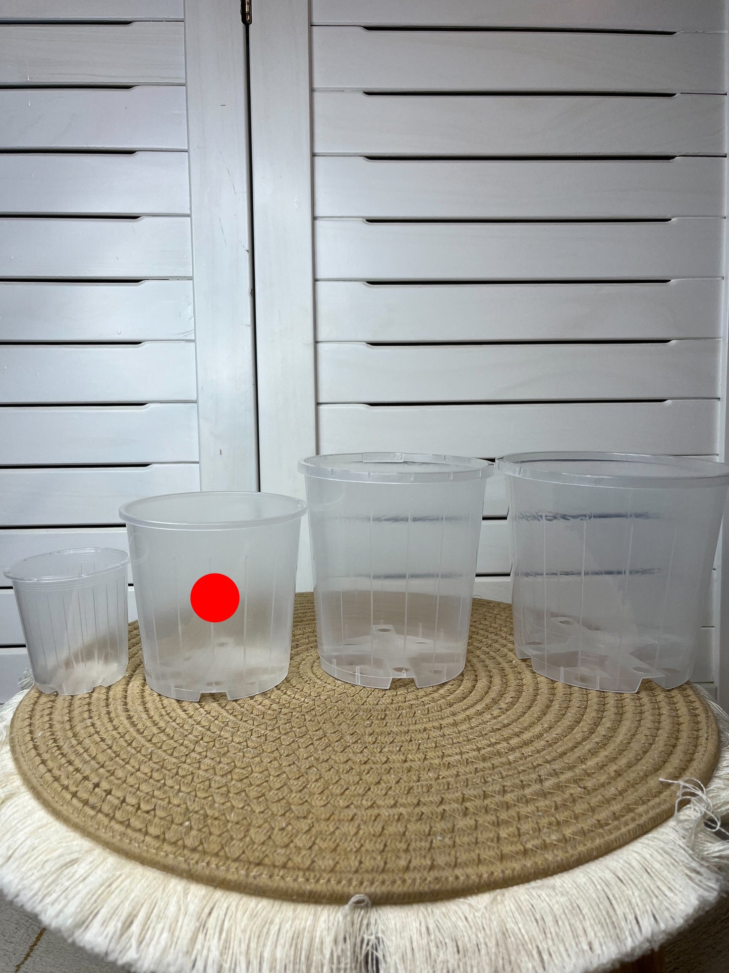 Clear Nursery Pot 10cm (0.75L)