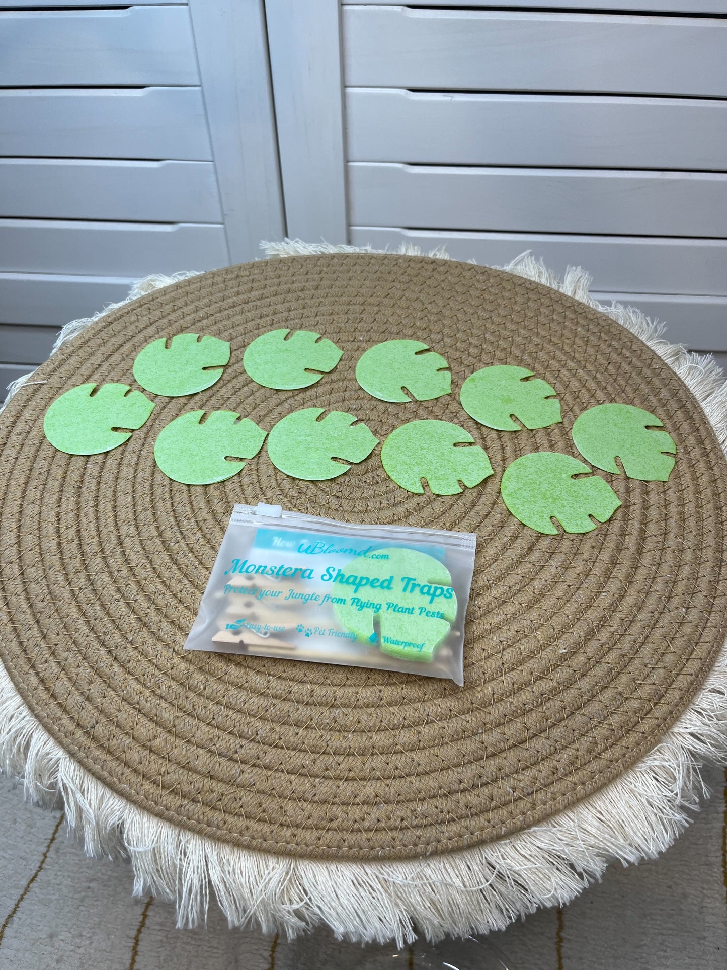 uBloomd Green Sticky Traps- 10 traps (MONSTERA / NATURE COLLECTION)