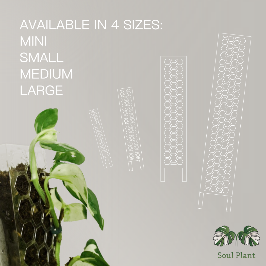 PlantThingy Aroid Media Pole - Mini / Small / Medium / Large