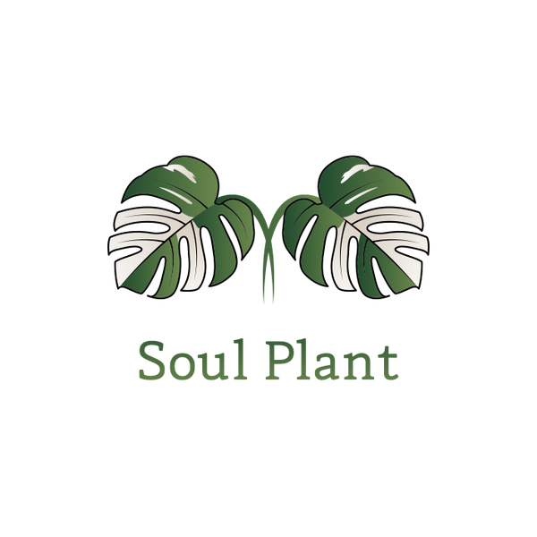 SOUL PLANT